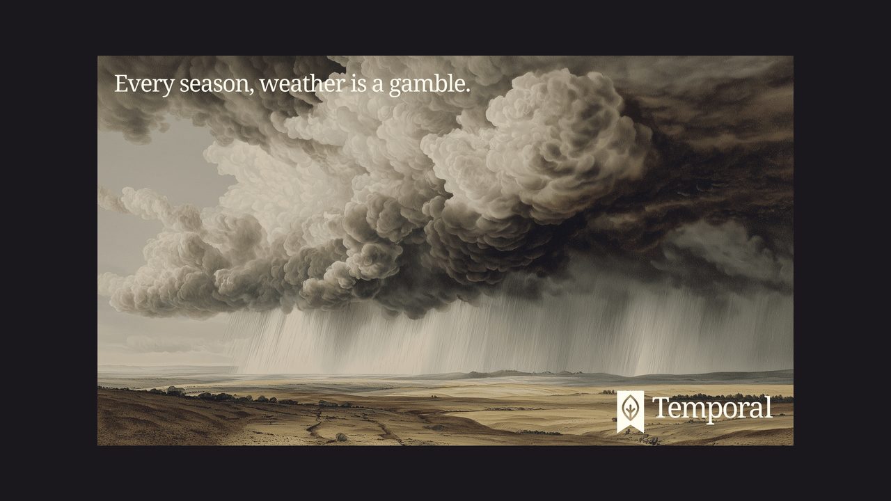 Temporal brand imagery showing visual identity applications