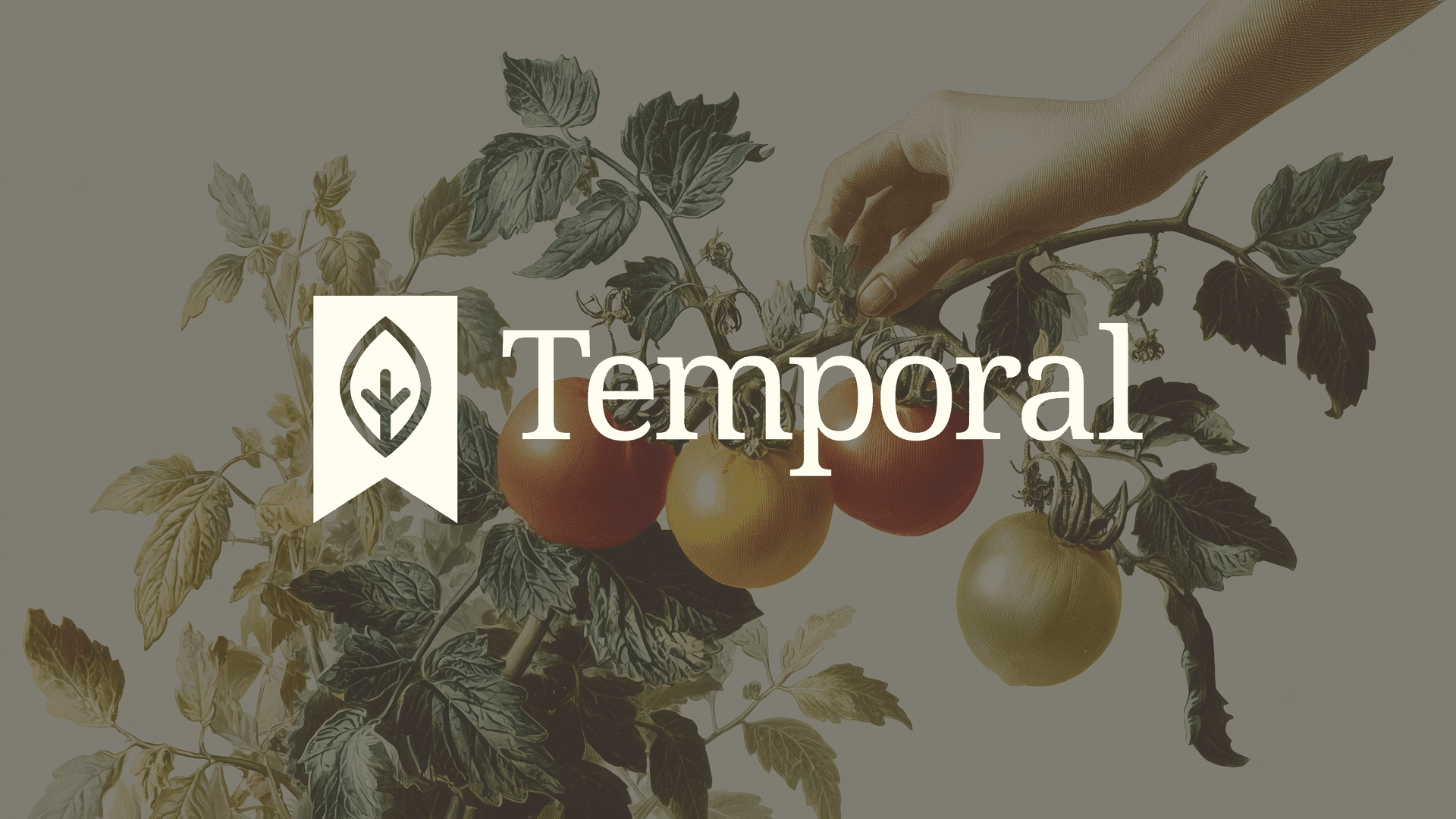 Brand identity, messaging, and a website for an agricultural epigenetics startup.